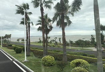 厦门大学鼓浪屿环岛路第 2 张图片