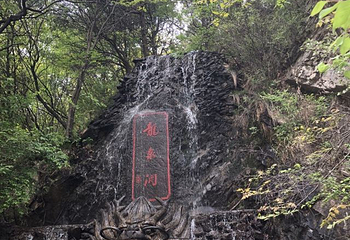 九龙山国家森林公园第 32 张图片