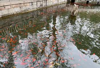 青龙峡风景区第 72 张图片