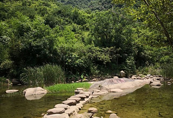 姚家山风景区第 36 张图片