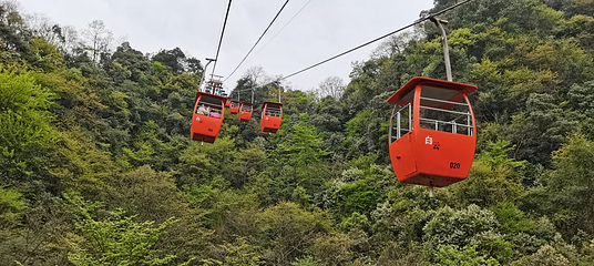 青城后山第 56 张图片