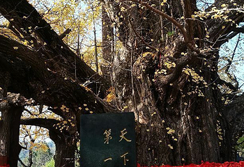 浮来山风景区第 42 张图片