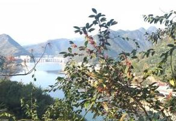 青田石门洞第 22 张图片