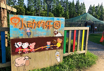 前小桔创意农场第 6 张图片