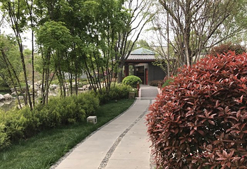 临潼悦椿温泉第 81 张图片
