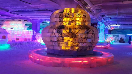 中俄蒙国际冰雪乐园第 23 张图片