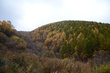 海坨山风景区第 35 张图片