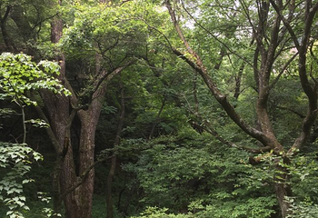 玉华宫景区第 32 张图片