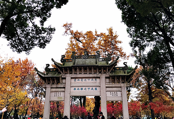 天平山第 91 张图片
