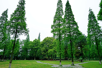 虞山景区第 47 张图片