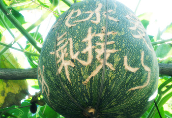 太平寨第 7 张图片
