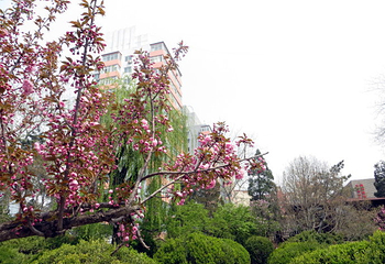 北京师范大学第 23 张图片