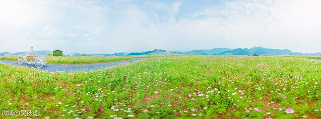 千岛湖马术公园第 17 张图片