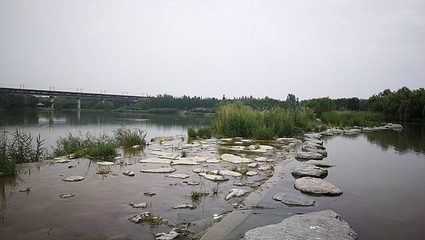 西安浐灞国家湿地公园第 94 张图片