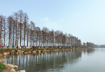 东湖绿道第 40 张图片