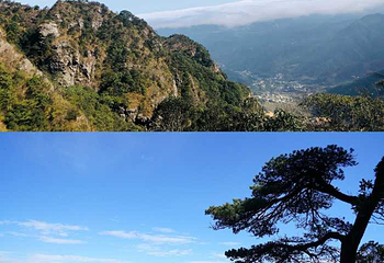 莽山旅游区国家森林公园第 105 张图片