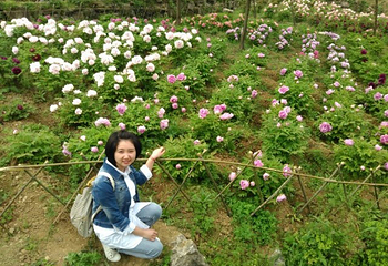 华夏牡丹园第 30 张图片