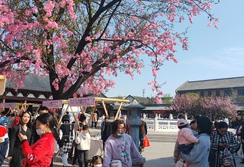 阜阳生态乐园第 43 张图片