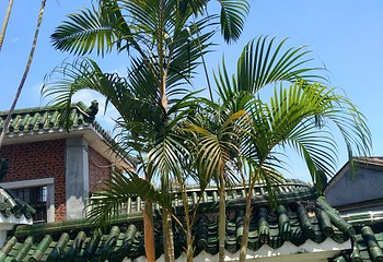 鼓浪屿万国建筑博览馆第 18 张图片