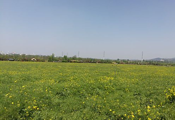青岛西海岸生态观光园第 15 张图片