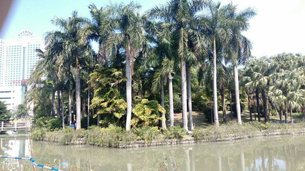 明谷行馆·温泉体验第 35 张图片