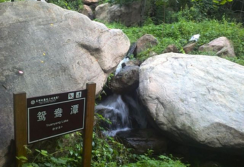 藤龙山风景区第 21 张图片