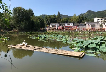 古徽州文化旅游区第 34 张图片