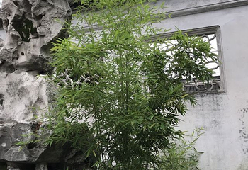 闻道园第 35 张图片