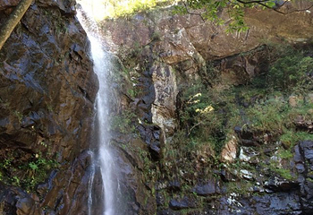 安吉龙王山风景区第 35 张图片