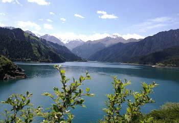 新疆古生态园汗血马基地第 72 张图片