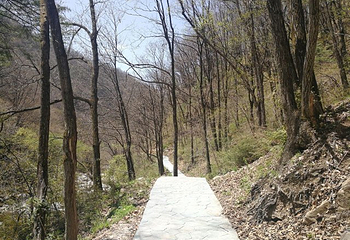 嘉陵江源头景区第 26 张图片
