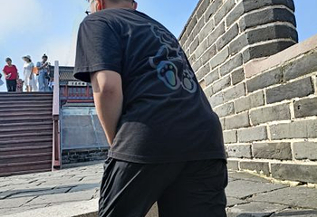 天下第一关第 27 张图片