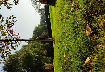 瘦西湖游船第 10 张图片