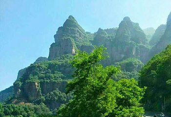 仙台山第 14 张图片