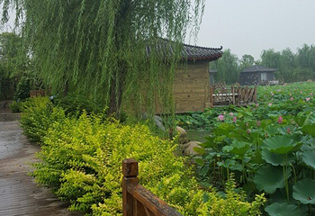 灵山莲花温泉度假区第 41 张图片