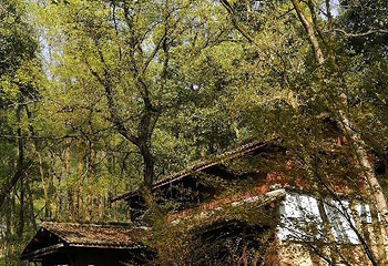 灵峰山-灵峰寺第 20 张图片