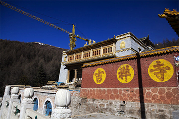 吉祥寺第 10 张图片