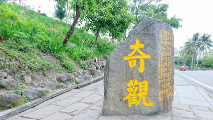 水往上流第 12 张图片