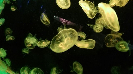 云龙湖水上世界第 37 张图片