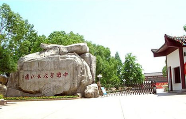 中国茶花文化园第 2 张图片