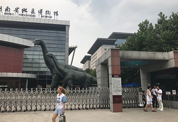 河南省地质博物馆第 12 张图片