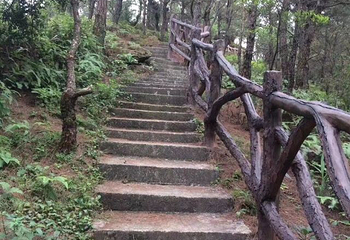 泰康山生态旅游区第 15 张图片