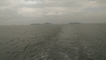 鹭江悠游（旅游客运码头）第 26 张图片