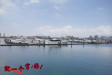 五缘湾帆船港第 50 张图片