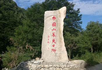 黑河国家森林公园第 29 张图片