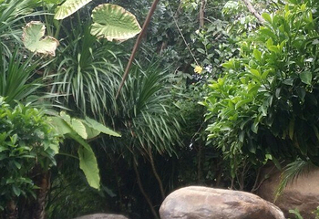 保山蒲缥温泉度假村第 13 张图片