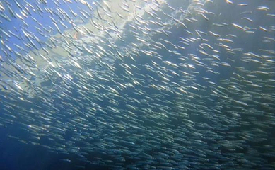 海棠湾第 150 张图片