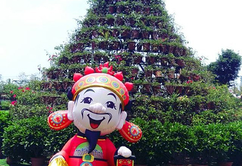 中山德华湿地花海第 9 张图片