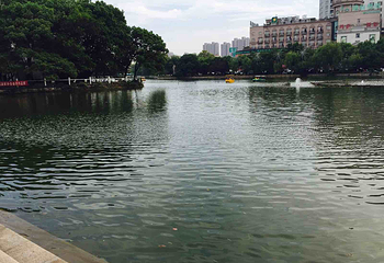 镜湖公园第 10 张图片