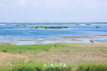 红海景区第 24 张图片